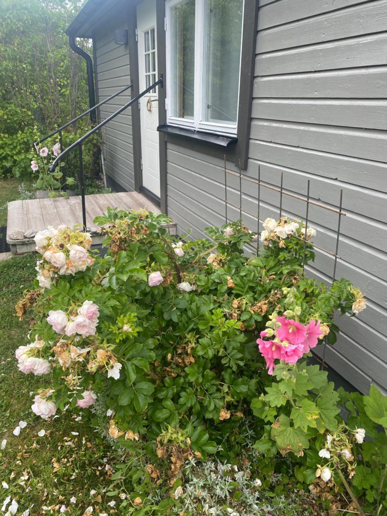 Stuga Romakloster Exteriér fotografie