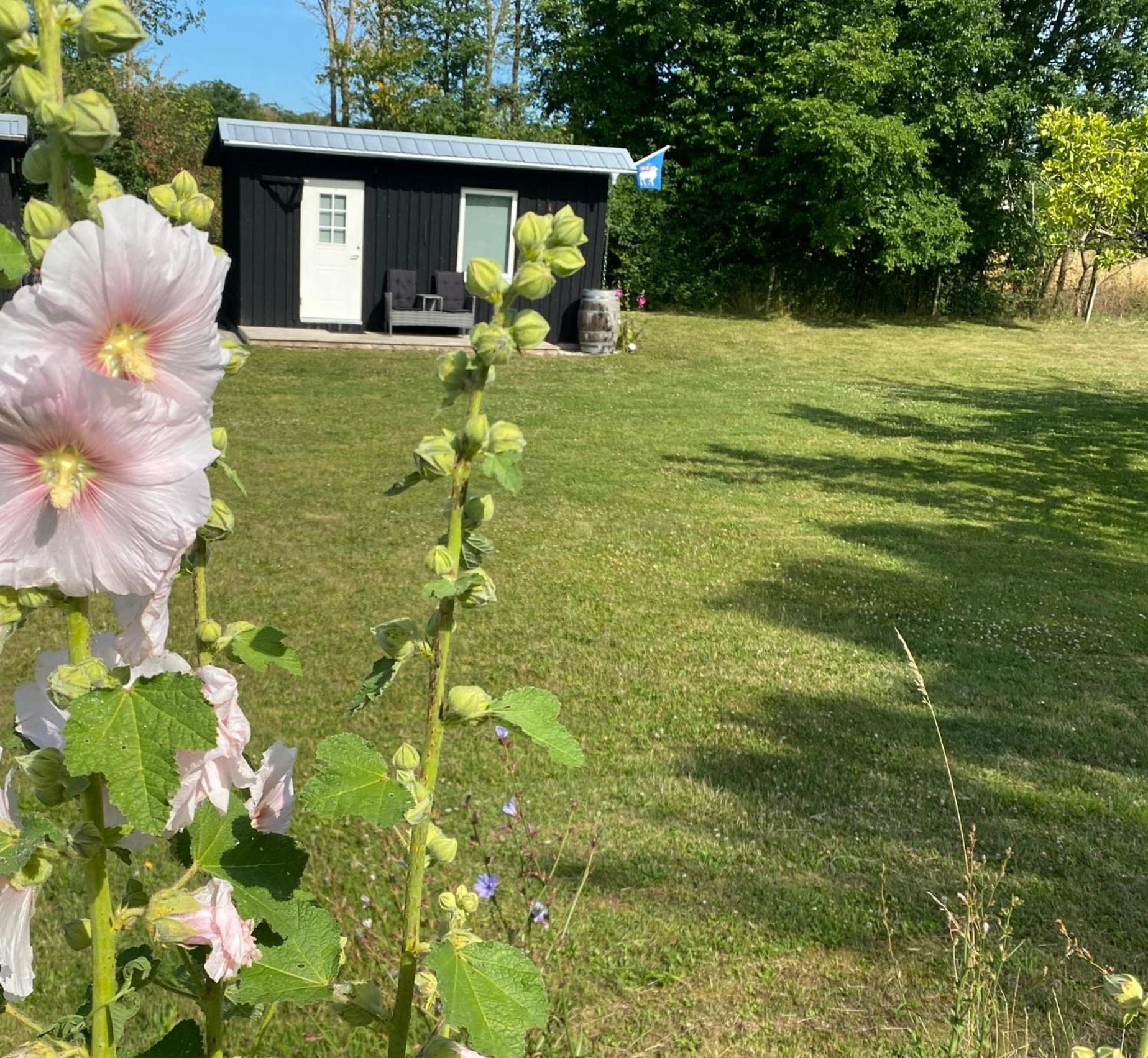 Stuga Romakloster Exteriér fotografie
